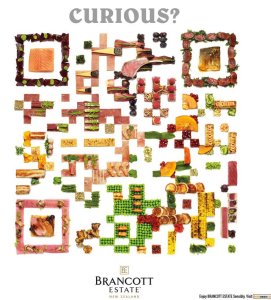 Brancott Estate - Curious