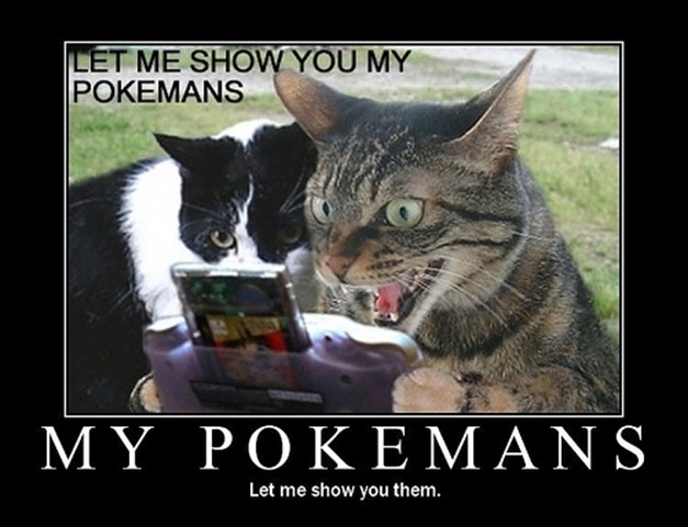 pokemanzcats